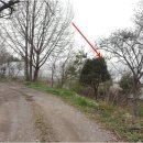 내곡동269 이미지