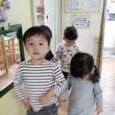 돼지모양 화장실 이미지