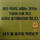 대승농장 이미지