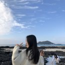 [24.11.14~17] 제주도 가족여행(소길별하, 문워크, 9.81파크, 마시오름, 은희네해장국, 위미그라스)