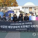 예산-41 이미지