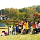 대파니 힐링팜 이미지