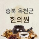 옥천군 한의원 BEST 5 추천: 추나요법, 교통사고, 다이어트, 비염, 통증