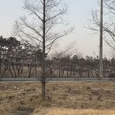 청능대로 289번길 이미지