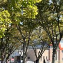 지리산학교스테이 이미지