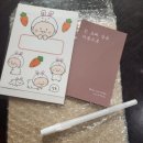 컴온２１주 | 임신 중기(15~28주) : 기형아검사, 심장초음파, 임당검사 통과!