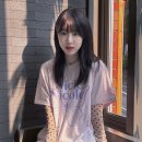 270-4533 | 반포미용실 차홍룸 반포점 2024 여름 염색 추천 컬러 레드 바이올렛 플럼 브라운 + 미디움 레이어드컷