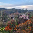 백두산농장 이미지