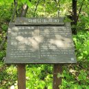 가야산(서산) 이미지