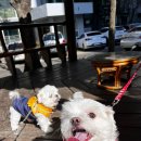 대봉가든 이미지