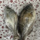 기장낚시(대변항울산해양경찰서;망상어,전갱이)