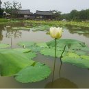 원당식당 - 고양시 덕양구 | 원당식당
