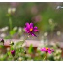 의료법인 청송의료재단 이미지