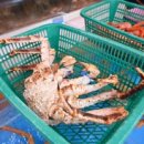 기장대게 이미지