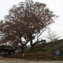 충효큰마을 이미지