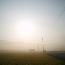 윤서농장 이미지