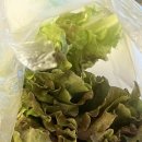 휘경56 | 휘경동 곱창 맛집 영자네곱창 내돈내산 후기!(ft.포장)