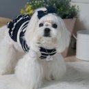 미르네농장 이미지