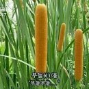 플랫아이언스튜디오