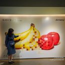 요시다 유니 개인전, 석파정 서울미술관 후기 (+주차)