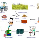 일본의 바이오디젤 원료용 유채 재배 기계기술 현황 이미지
