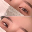블룸인래쉬