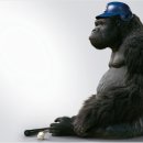 미스터고 이미지