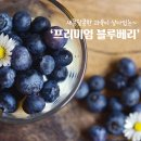 남동과일