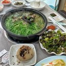 포항 오천 맛집, 능이오리백숙 찐 맛집 - 팔도돼지국밥
