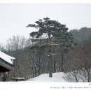 행운떡집 - 북구 금호로 81 | 행운떡집