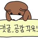강릉콩밭