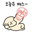 스텔라 노래연습장 이미지