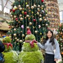 트리트리 이미지