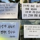 ﻿[이태원 참사] S. Korea mourns Itaewon crowd crush with death toll at 154 이미지