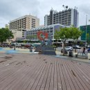 토닥(TODAK) 이미지