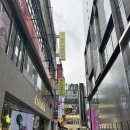 리틀하노이 | 명동 쌀국수 맛집 리틀하노이 후기