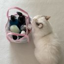 구덕 사우나 이미지