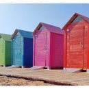 우성애 여성의원 이미지