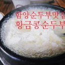 황금콩순두부