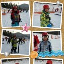 용인대석사체육관 이미지