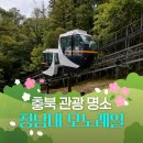 호수부영랜드공인중개사사무소 | 청남대 모노레일