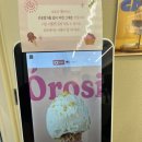 오로시젤라또 - 성남시 분당구 판교역로 231 | 종로 젤라또 맛집 오로시 젤라또 내돈내산 후기