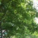 수레울 폭포공원 이미지