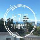 오알카페 | 서귀포 카페오알 제주투어패스 이용후기