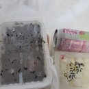 수신닭발용인둔전점 이미지
