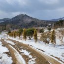 김종열농장 이미지