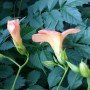 여주-0497 네이버블로그