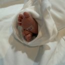 피오레 | 울산 피오레 산후조리원 후기