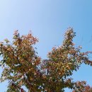 신정2동자치회관 이미지