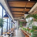 오션어클락 이미지